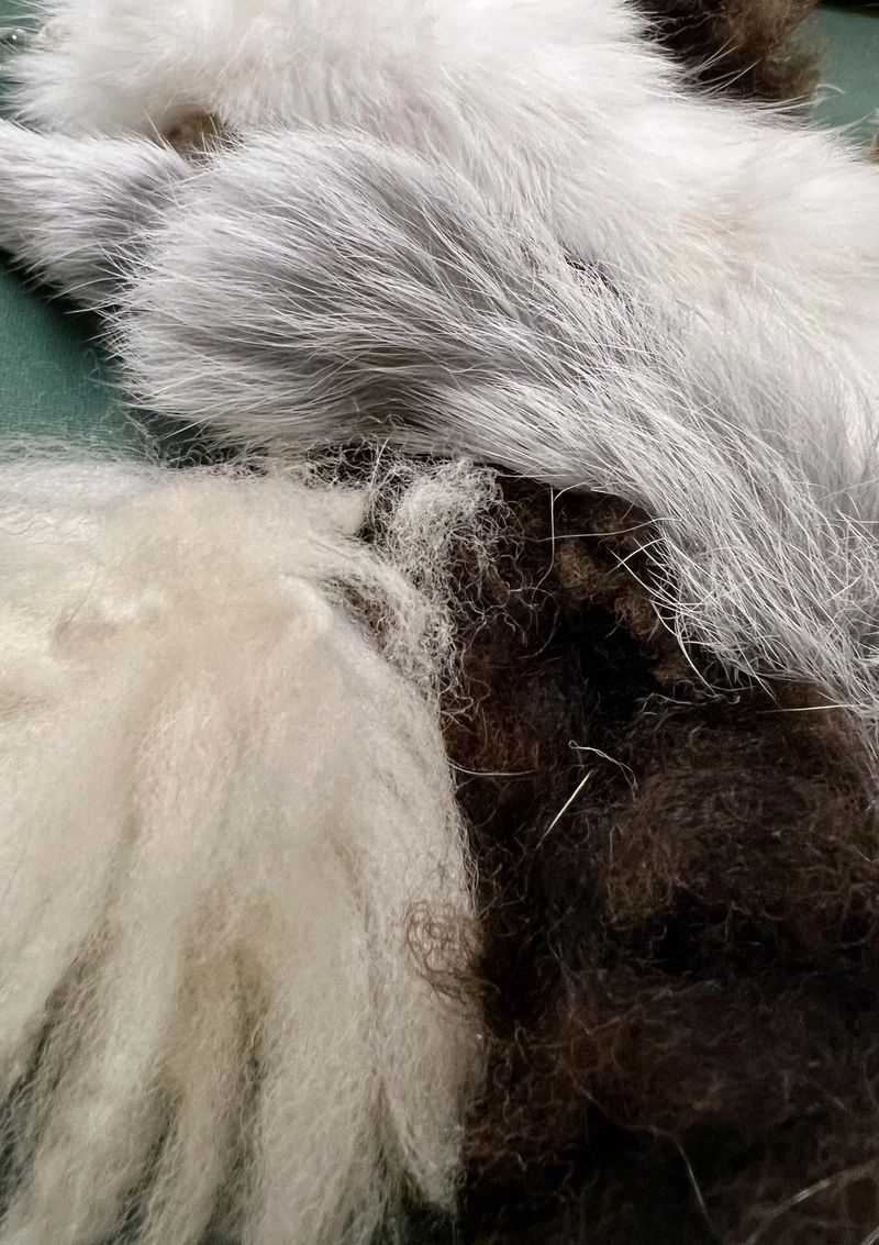 Anhänger "Fluffy" – Vielseitiger Spielspaß für Kratzbaum und Katzenangel