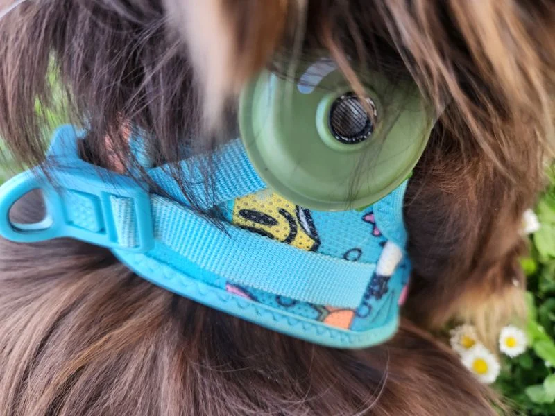 Ultraschall Zecken- & Flohschutz für Hunde – chemiefrei, wiederaufladbar | Ferplast