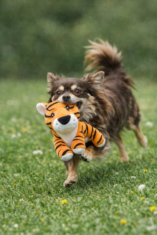 TRIXIE Hundespielzeug Tiger aus Plüsch – weiches Polyester Spielzeug für Hunde