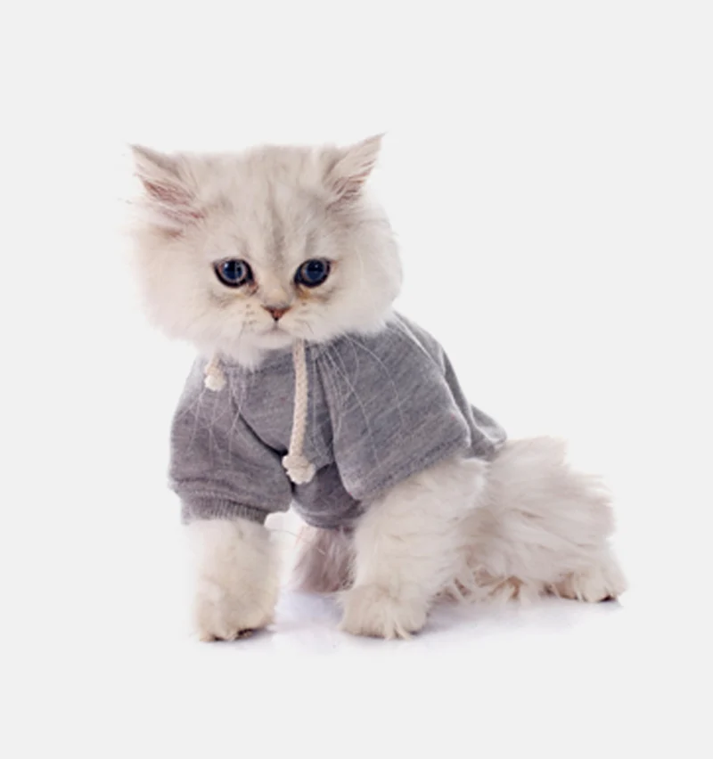 Pink shirt for cat