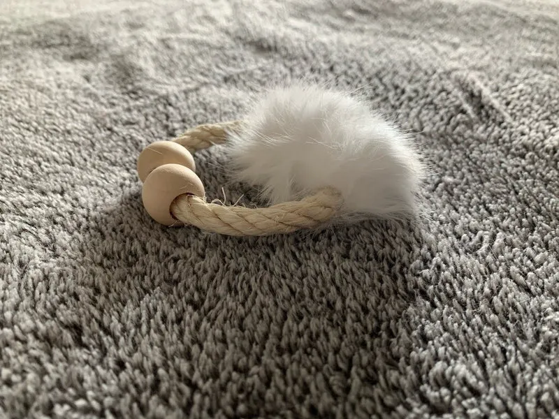 Apportierring „Fun“ – Der perfekte Wurf- und Apportierspaß für deine Katze