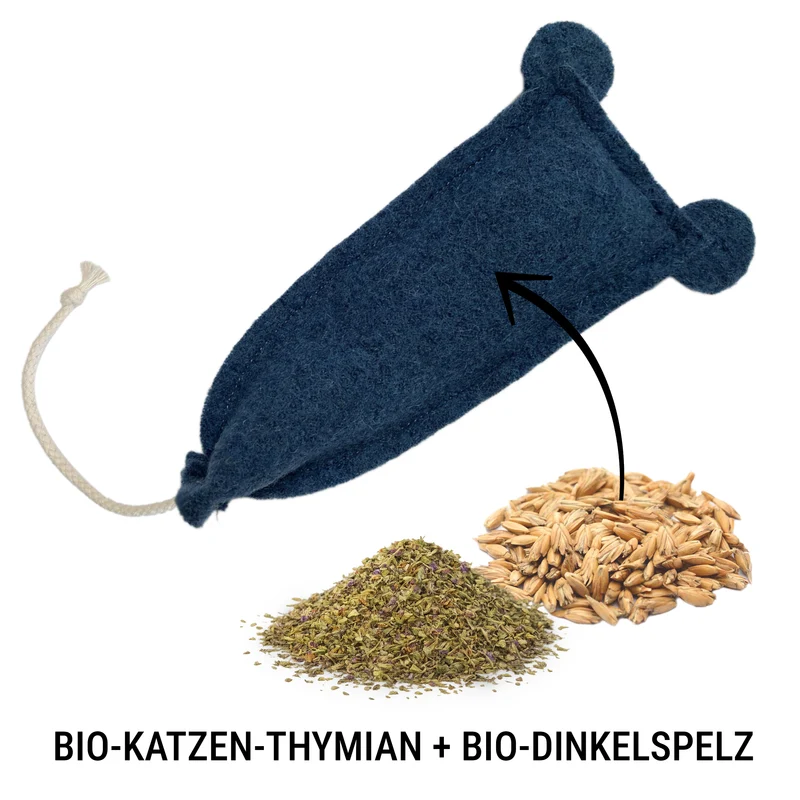Mäuserich mit Katzen-Thymian