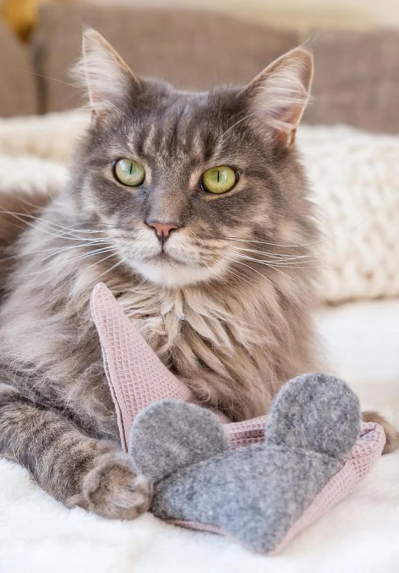 Mausbert mit BIO-Katzenminze + Catnip-Spray (30ml)