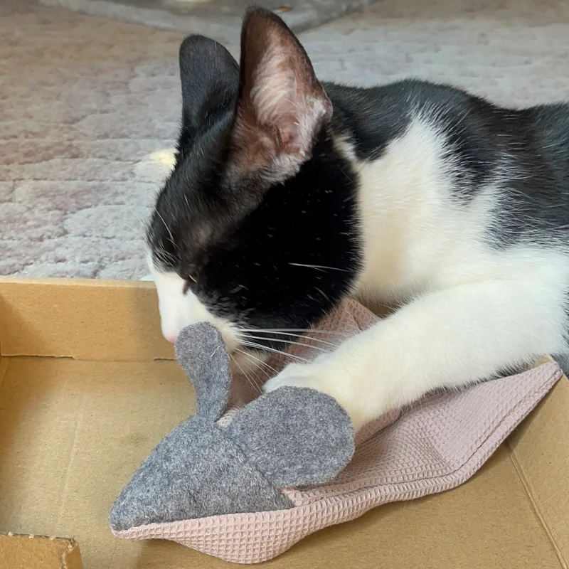 Mausbert mit BIO-Katzenminze + Catnip-Spray (30ml)