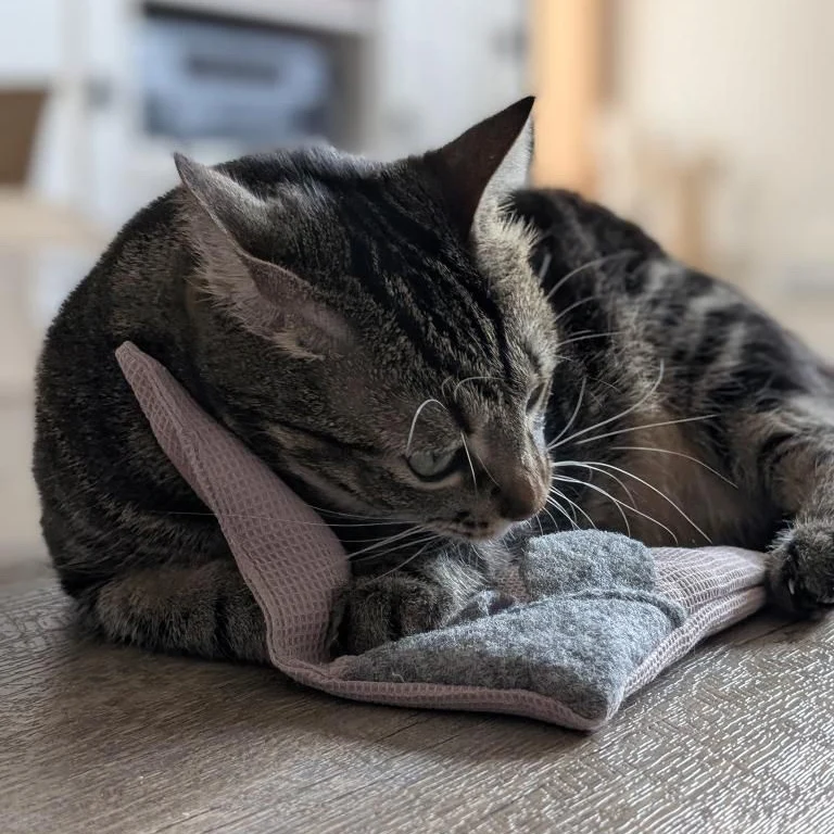 Mausbert mit BIO-Katzenminze + Catnip-Spray (30ml)