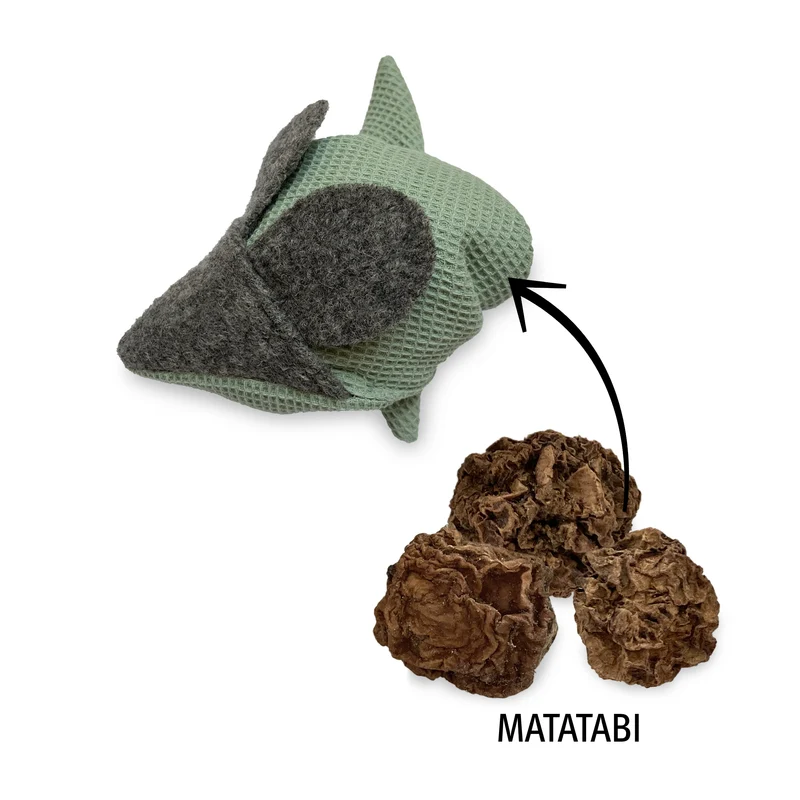 Mausbert mit Matatabi-Früchten