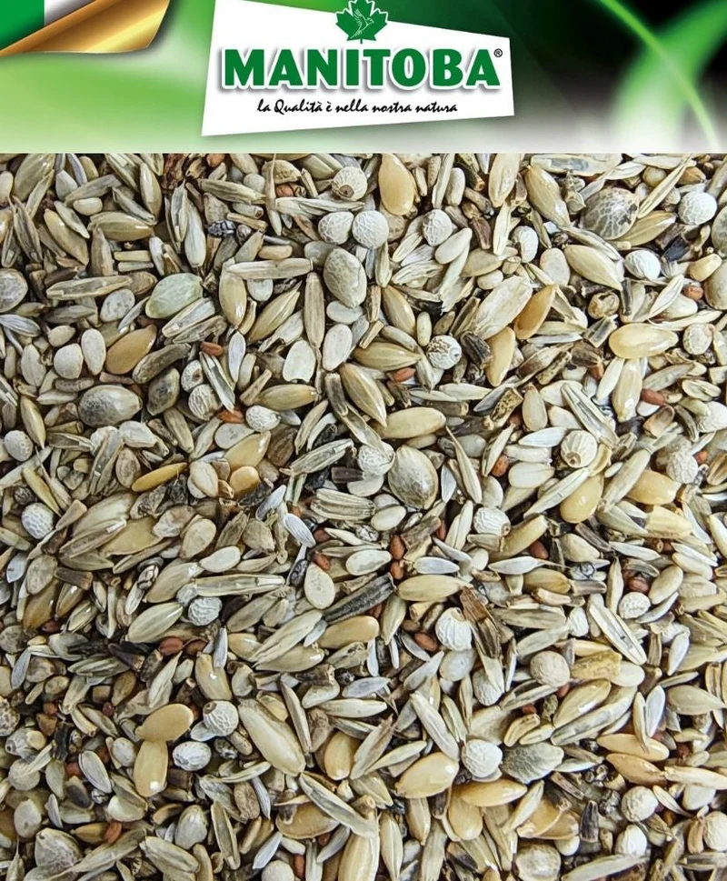 Carduelidi Platino 2.5 kg (Goldfinkenmischung ohne Schwarzkümmel) Manitoba