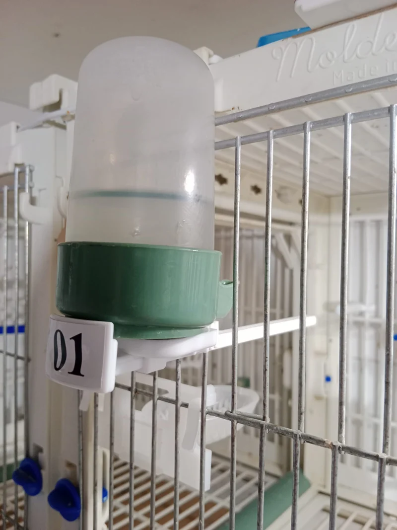 SPA-Brunnenstütze / Sitzbank - Moldes Avenue