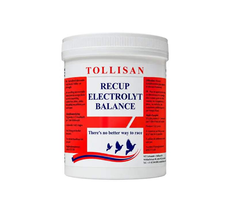 Recup Elektrolyt-Balance (500gr)