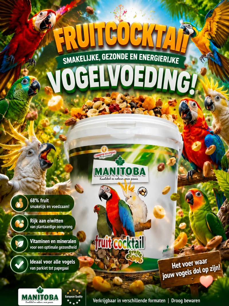 Manitoba Cocktail (Fruchtmischung mit Nüssen) 4 kg