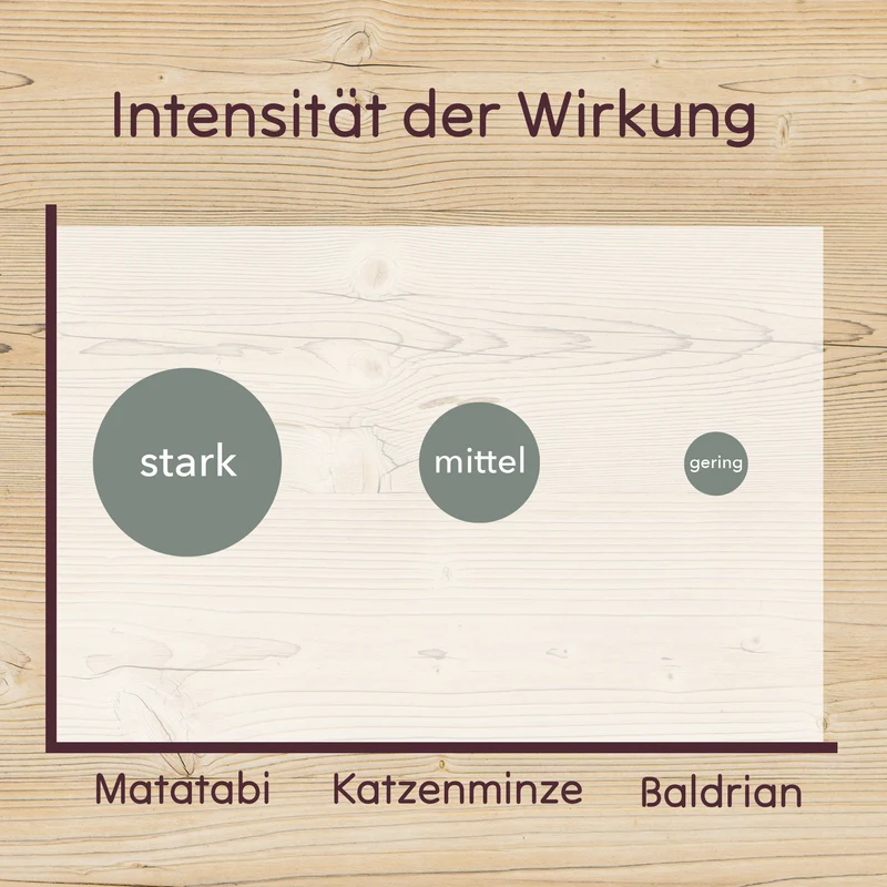 Matatabi Set (Sticks und Früchte)