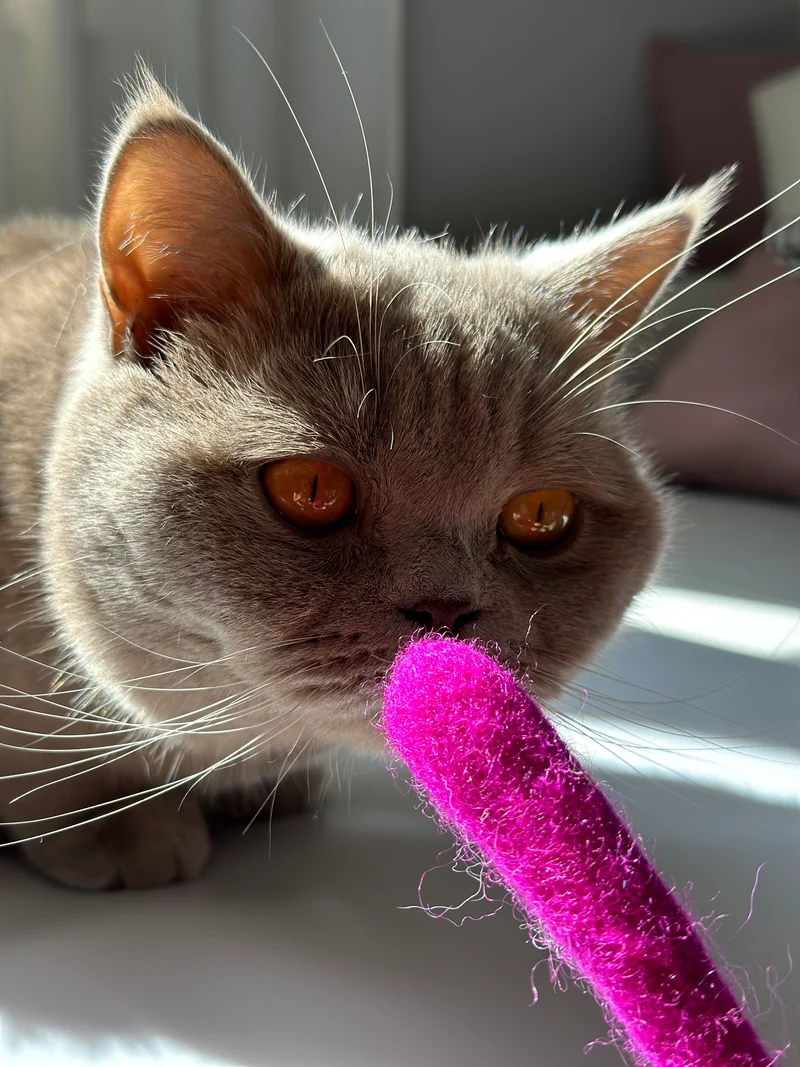 Handgerollte Filzschlange (pink)