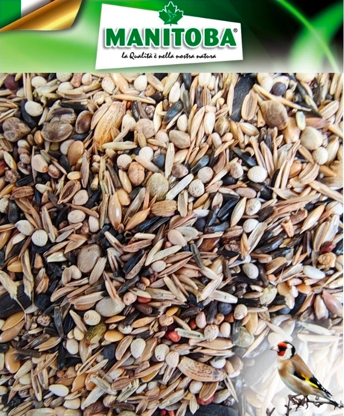 Manitoba Cardellino Major - Stieglitz 2.5 kg