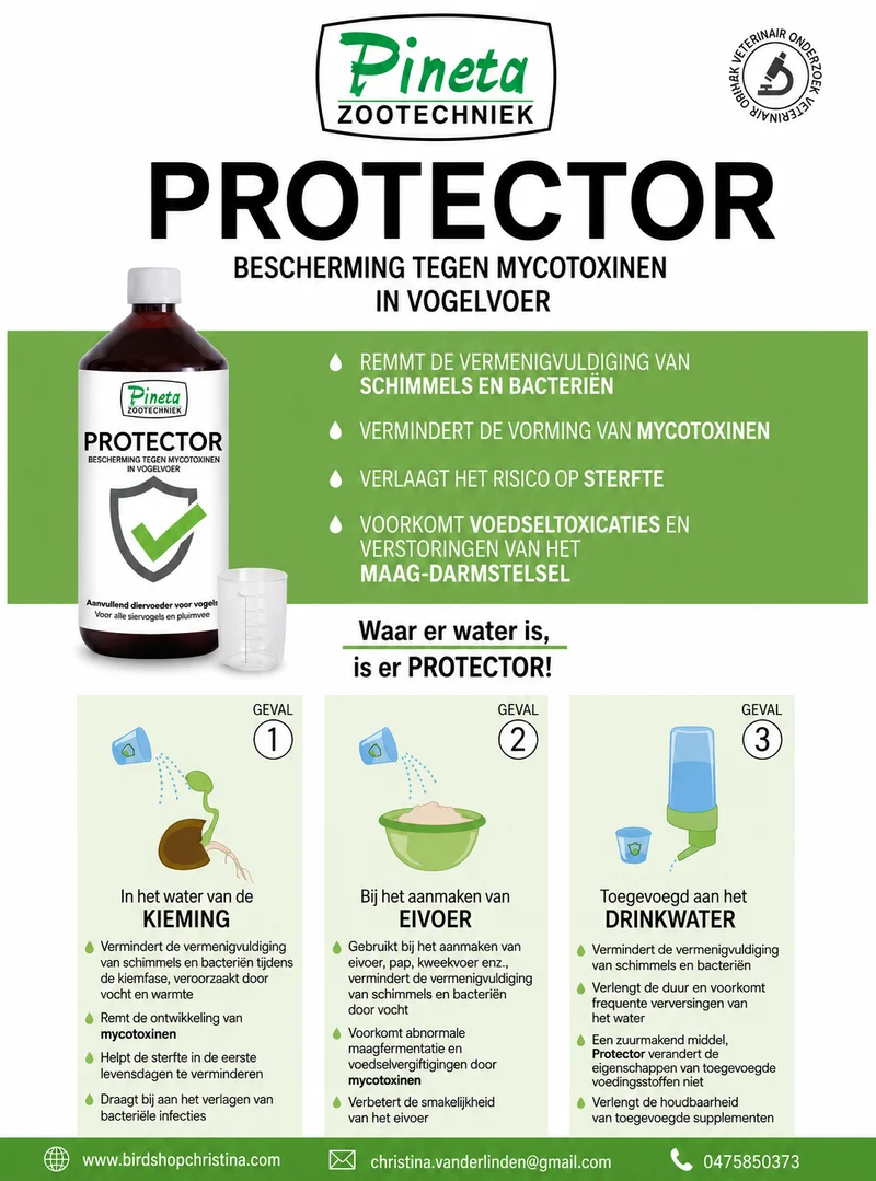 Protector 3in1 (antibakteriell) 1L - (Keimwasser, Einahrung, Trinkwasser) Pineta Zootecnici