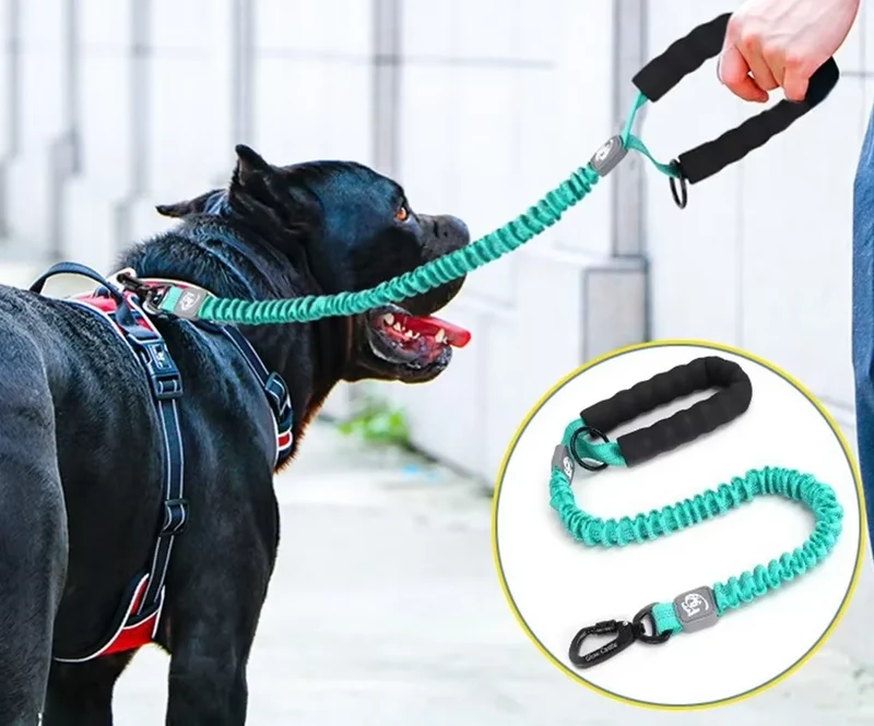 Stoßdämpfende Hundeleine mit Gepolstertem Griff für Große HundeStylisches
