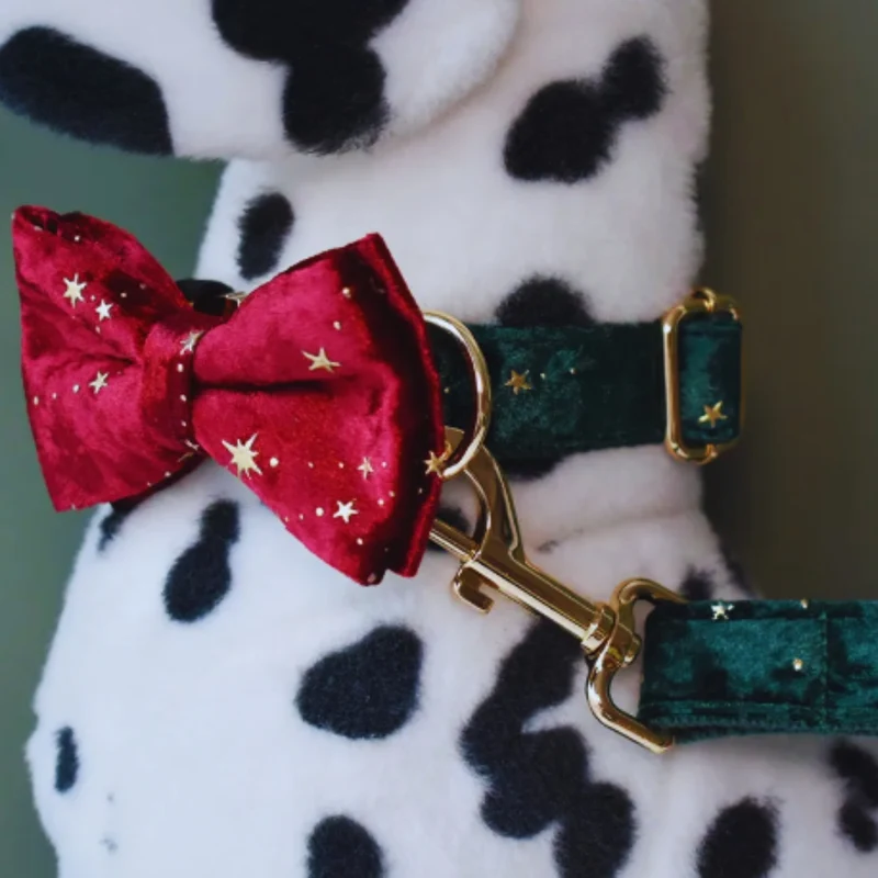 Luxuriöses Hundehalsband mit Leine und Fliege – Samtdesign mit Sternenmuster für Festliche Anlässe