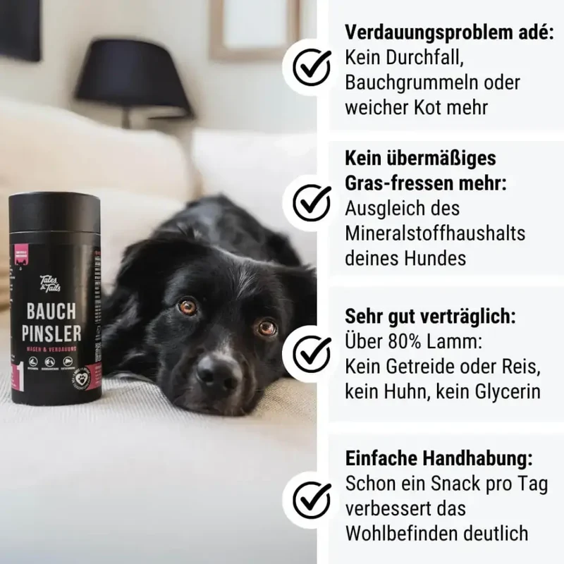 Verdauungs-Snack Hund | Bauchpinsler