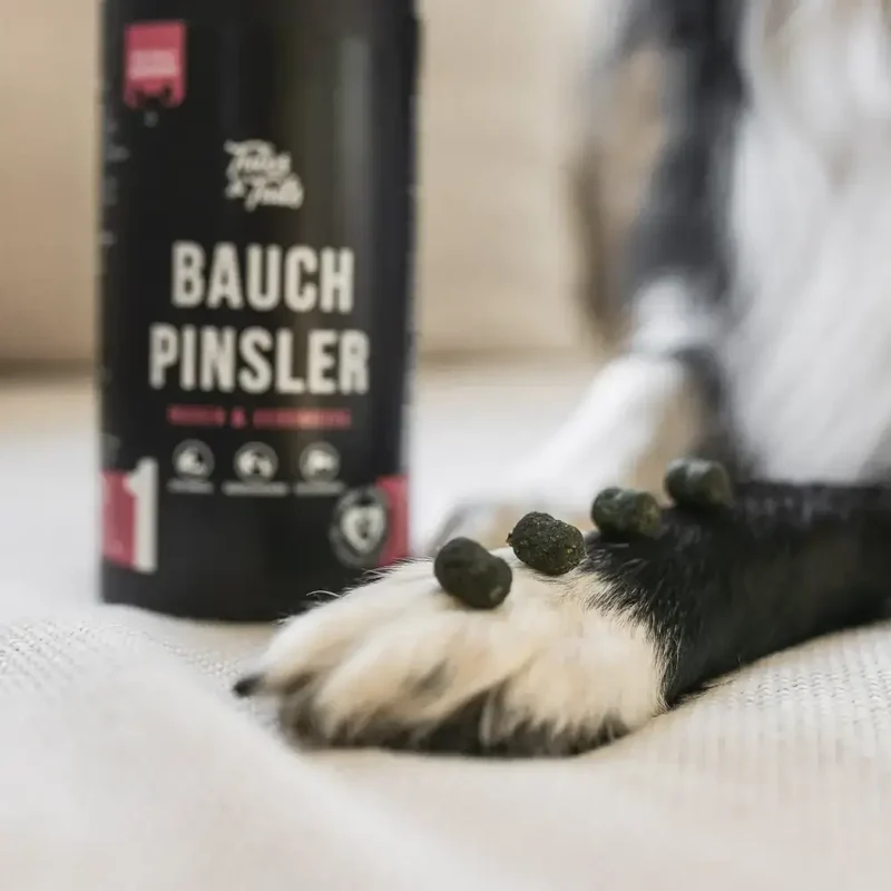 Verdauungs-Snack Hund | Bauchpinsler