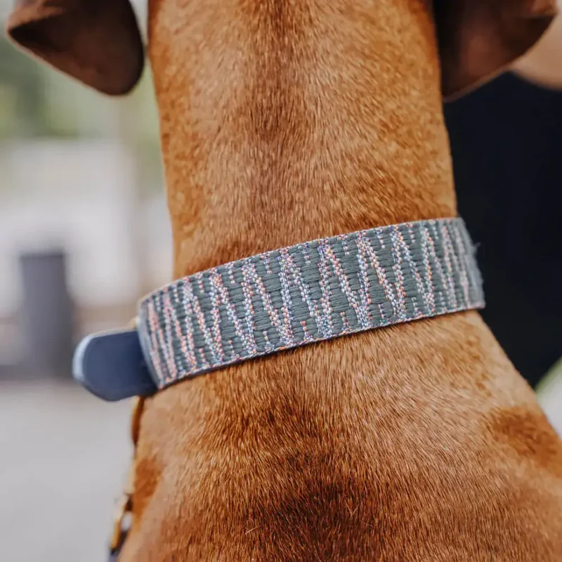 Hundehalsband gepolstert | Blau-Grau