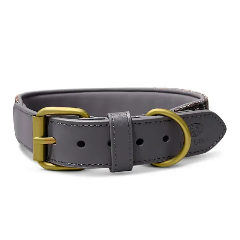Hundehalsband gepolstert | Blau-Grau
