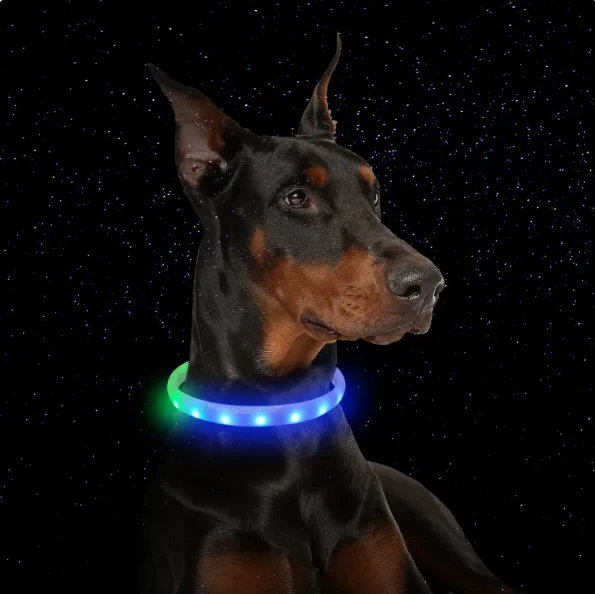 LED-Leuchthalsband für Hunde mit USB-Aufladung und Mehreren Farbmodi – Sichtbarkeit Bei Nacht