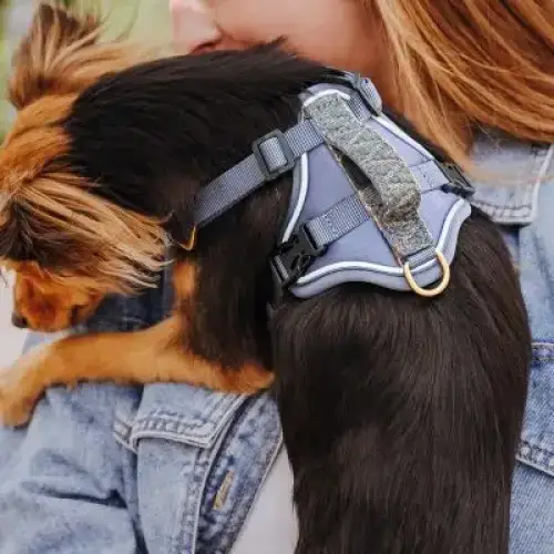 Hundegeschirr | Blau-Grau