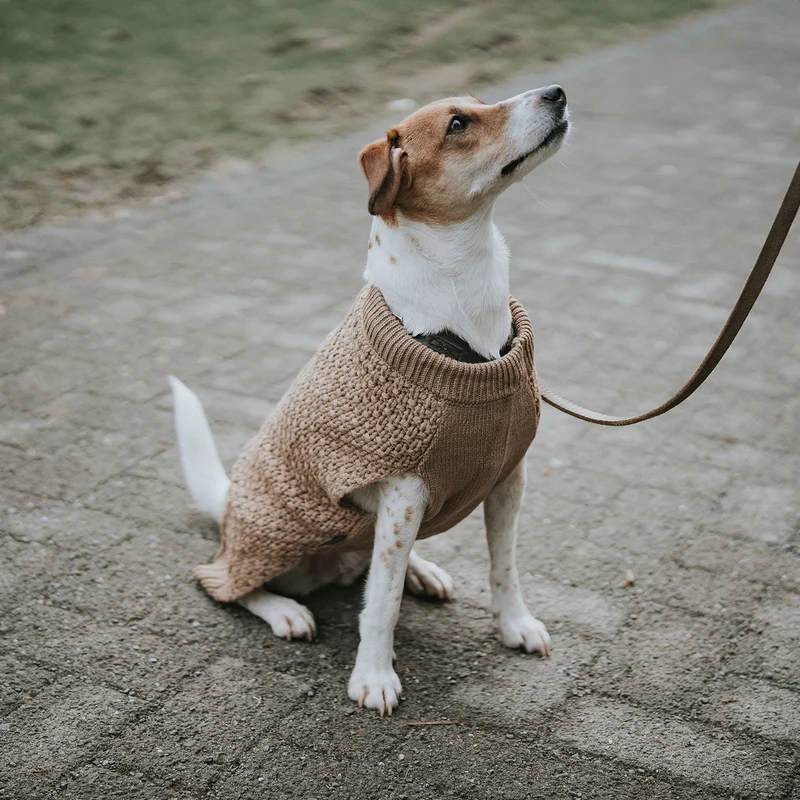 Hundepullover Malmö