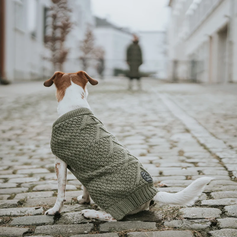 Hundepullover Malmö
