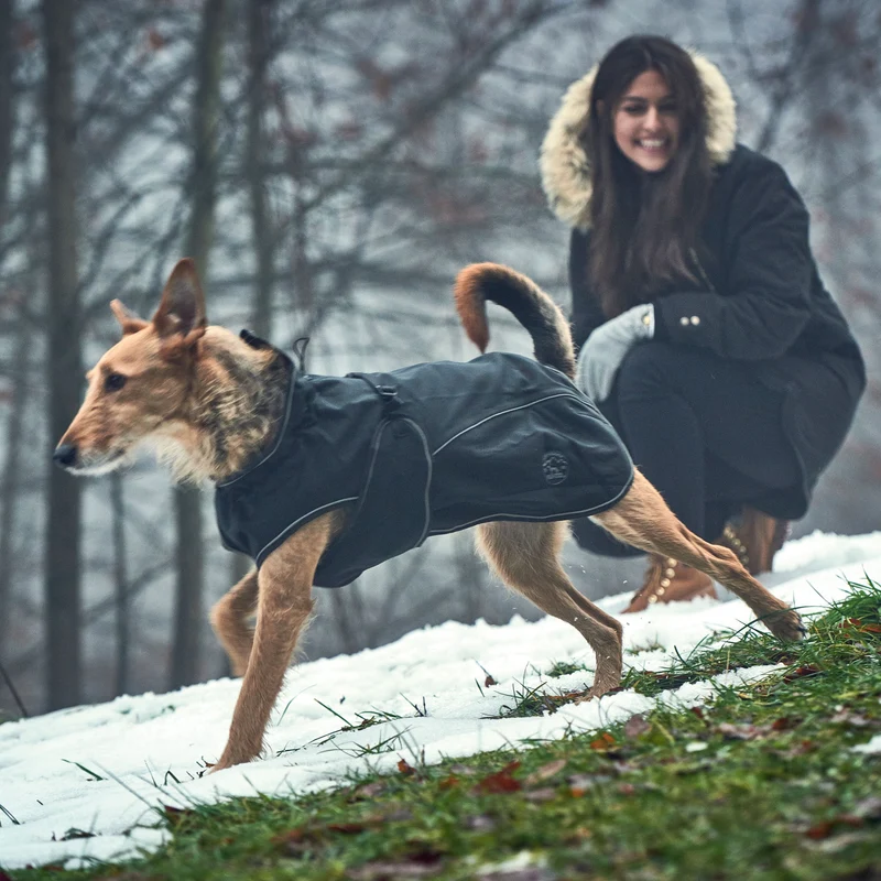 Hundemantel Uppsala Softshell