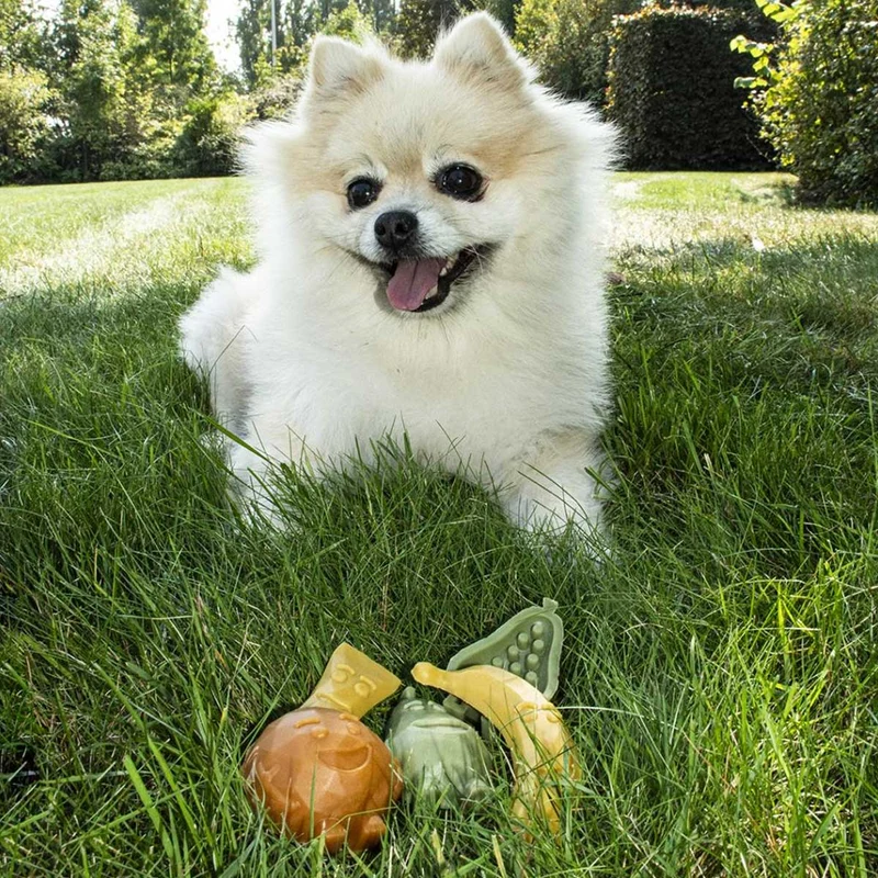 Fruity Friends