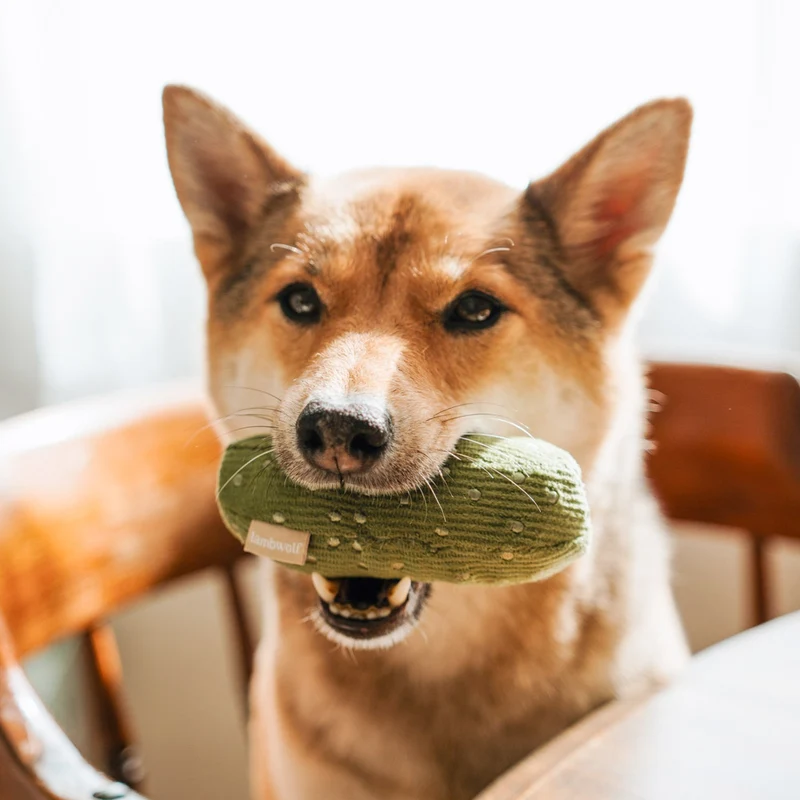 Schnüffelspielzeug BAGEL & PICKLE