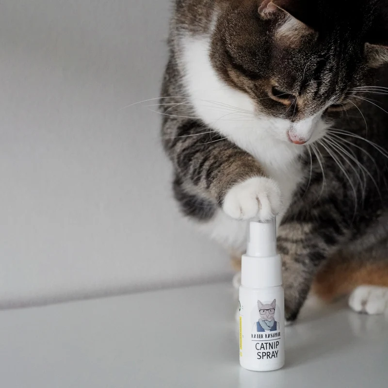 Katzenminze Spray - 30ml