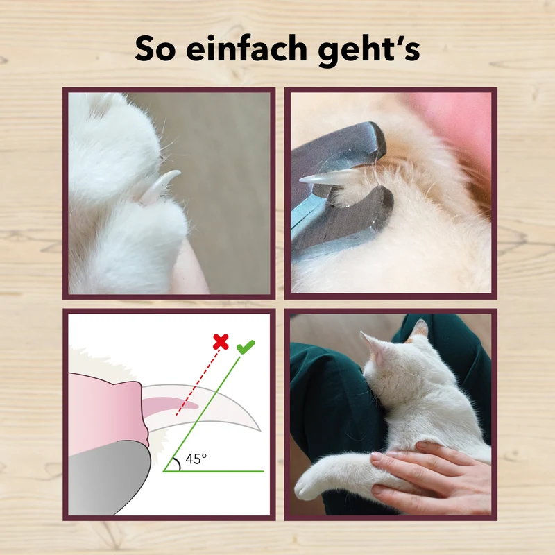 Krallenschere