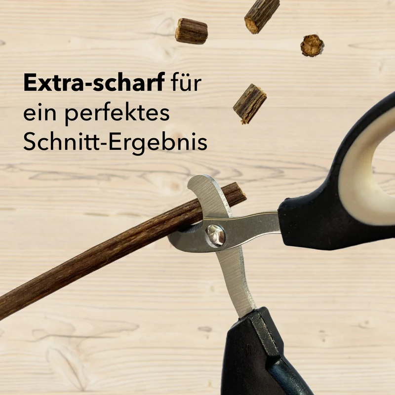 Krallenschere