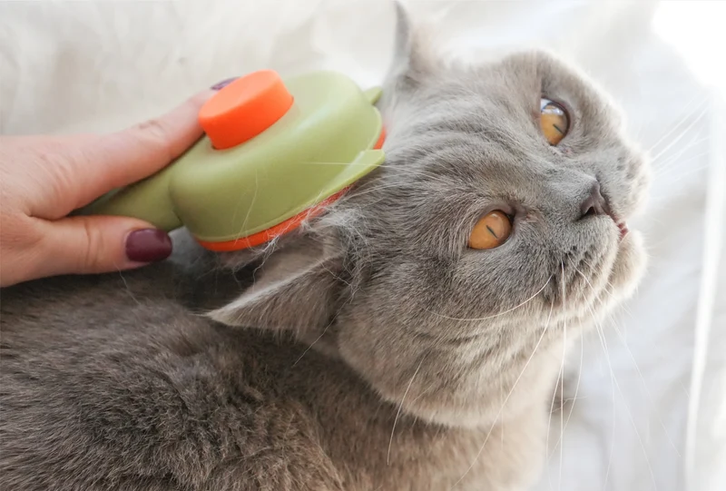 Selbstreinigende Katzenbürste