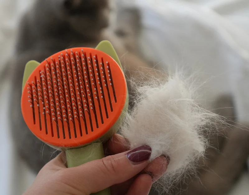 Selbstreinigende Katzenbürste