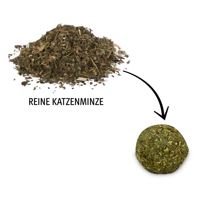 10 Katzenminze Kugeln