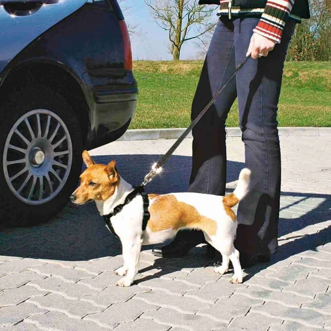 Trixie Auto-Sicherheitsgeschirr