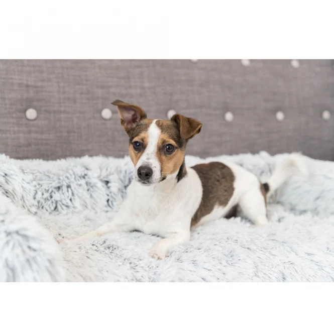 Trixie Polster-Schondecke Harvey
