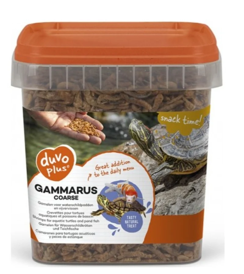 Großer Gammarus 2,5L | Duvo+