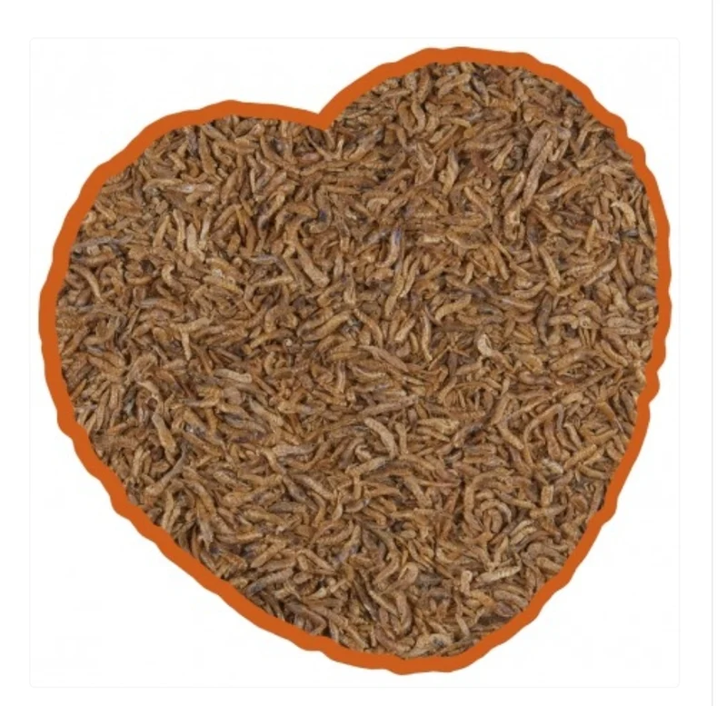 Großer Gammarus 2,5L | Duvo+