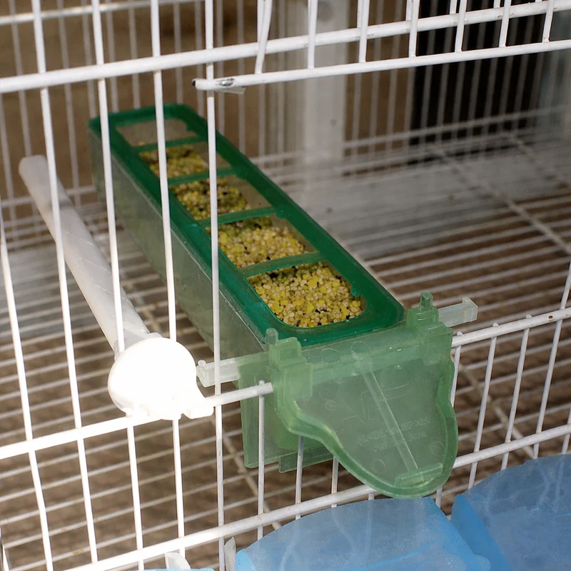 Apollo Feeder (grün) – Moldes Ave