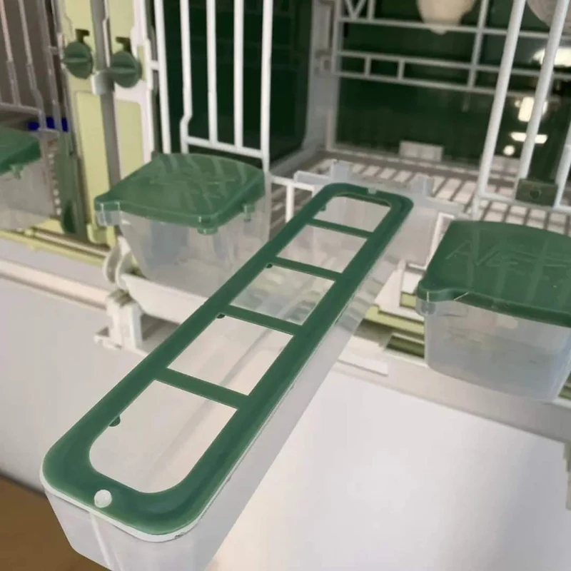 Apollo Feeder (grün) – Moldes Ave