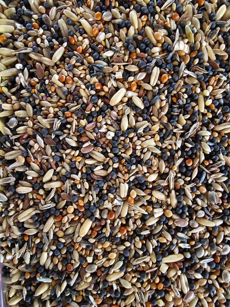 Vitakraft Gesundheitssamen.