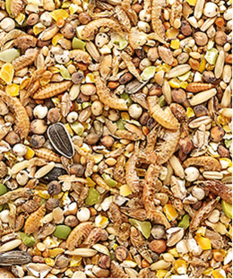 Country's Best Snack Garden Mix 1 kg - Hühnerfutter