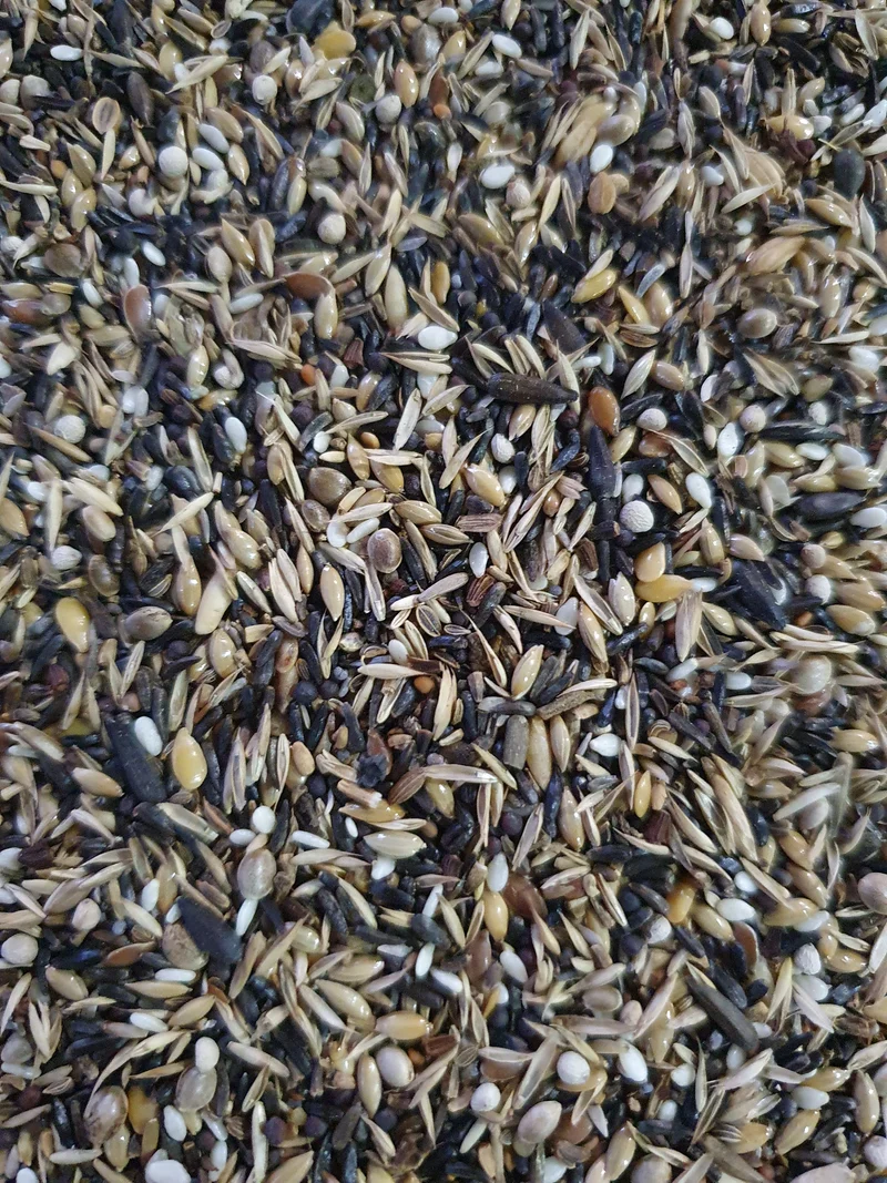 Stieglitz extra 5kg (20% BLATTNER-Samen) - Versele Laga