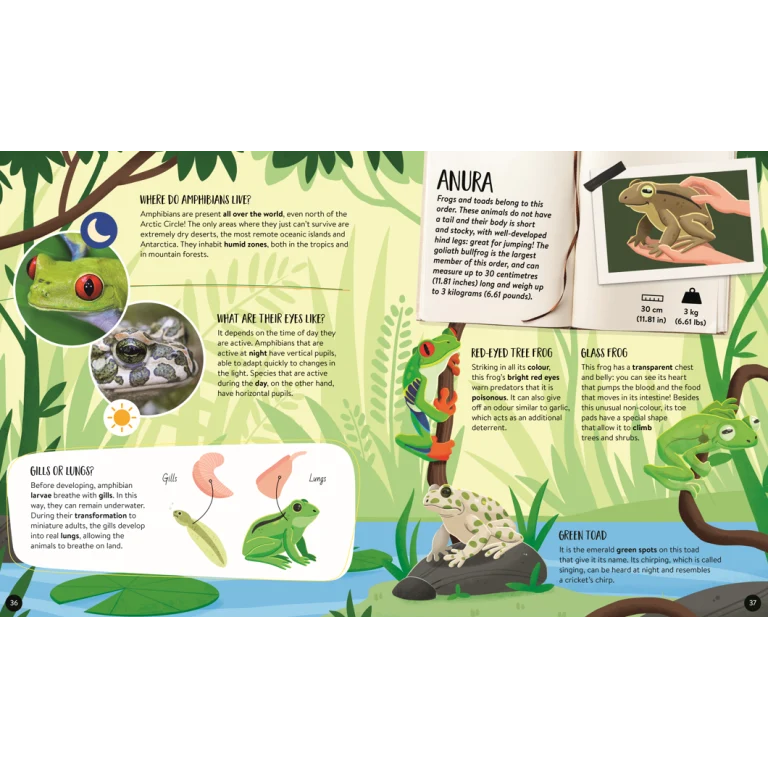 Sassi Mega Atlas The Ultimate Animals