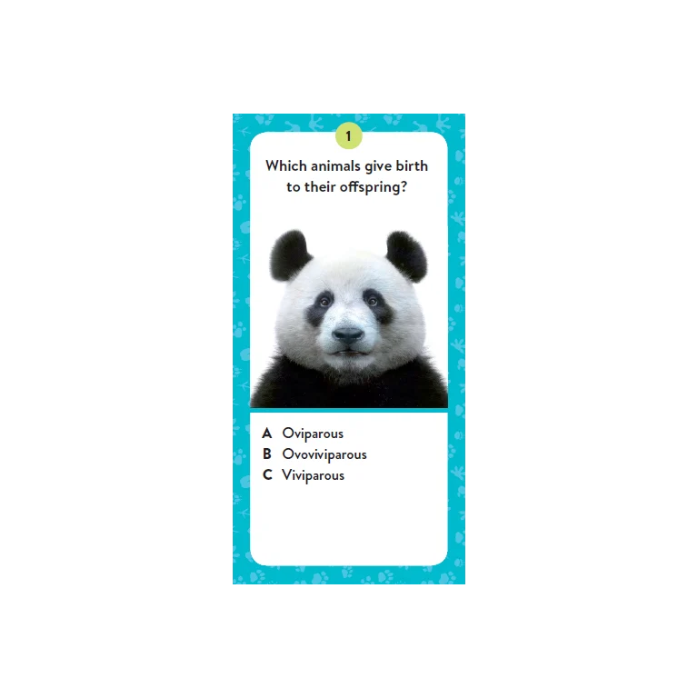 Sassi Mega Atlas The Ultimate Animals