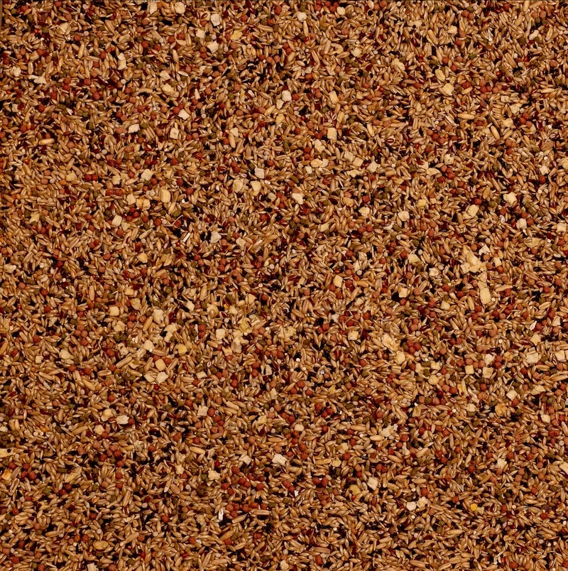 Birdelicious Kanarienvögel 2,5 kg – Komplettmischung – Kanarienvogelmischung + 4 zusätzliche Zusätze.