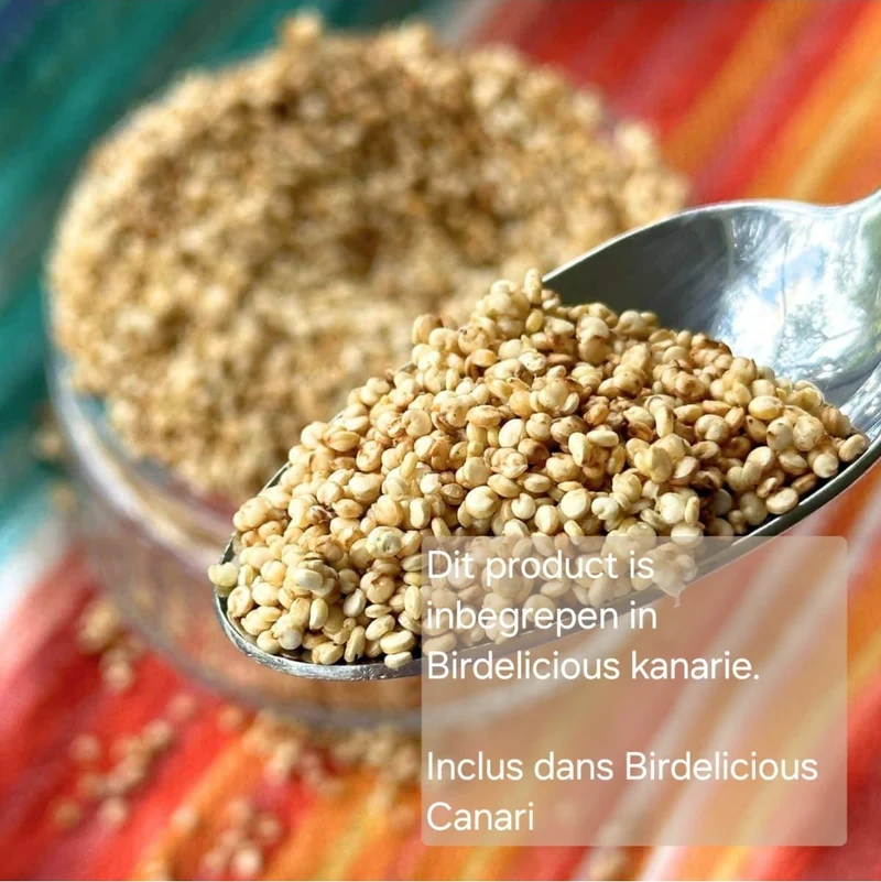 Birdelicious Kanarienvögel 2,5 kg – Komplettmischung – Kanarienvogelmischung + 4 zusätzliche Zusätze.
